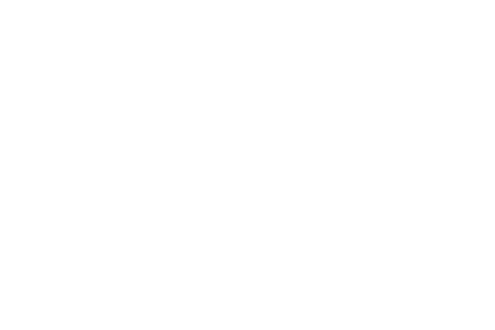 Vidja Ceramic